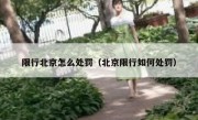 限行北京怎么处罚（北京限行如何处罚）