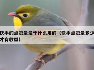 快手的点赞量是干什么用的（快手点赞量多少才有收益）