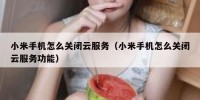 小米手机怎么关闭云服务（小米手机怎么关闭云服务功能）