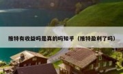 推特有收益吗是真的吗知乎（推特盈利了吗）