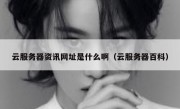 云服务器资讯网址是什么啊（云服务器百科）