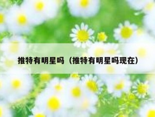 推特有明星吗（推特有明星吗现在）