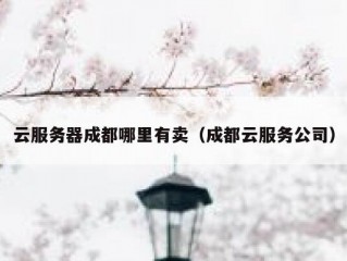 云服务器成都哪里有卖（成都云服务公司）