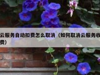 云服务自动扣费怎么取消（如何取消云服务收费）