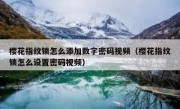 樱花指纹锁怎么添加数字密码视频（樱花指纹锁怎么设置密码视频）