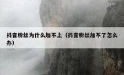 抖音粉丝为什么加不上（抖音粉丝加不了怎么办）