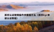 派币认证视频操作步骤是什么（派币kyc申请认证教程）