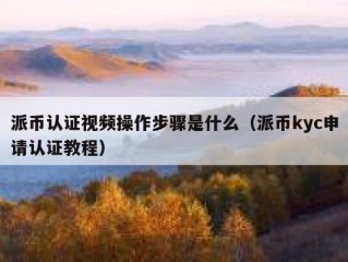 派币认证视频操作步骤是什么（派币kyc申请认证教程）