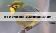 抖音如何加粉丝团（抖音如何加粉丝团成员）