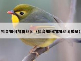 抖音如何加粉丝团（抖音如何加粉丝团成员）