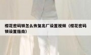 樱花密码锁怎么恢复出厂设置视频（樱花密码锁设置指南）