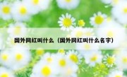 国外网红叫什么（国外网红叫什么名字）