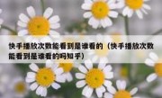 快手播放次数能看到是谁看的（快手播放次数能看到是谁看的吗知乎）