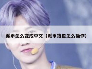 派币怎么变成中文（派币钱包怎么操作）
