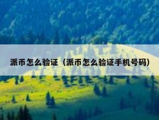 派币怎么验证（派币怎么验证手机号码）