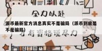 派币最新官方消息真实不是骗局（派币到底是不是骗局）