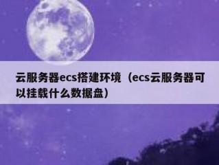 云服务器ecs搭建环境（ecs云服务器可以挂载什么数据盘）