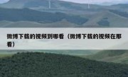 微博下载的视频到哪看（微博下载的视频在那看）