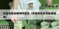 抖音加粉丝赚钱吗现在（抖音粉丝多也能赚钱吗）