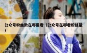 公众号粉丝数在哪里看（公众号在哪看粉丝量）