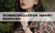 四川成都限行被拍怎么处罚车辆（成都车限行被拍到怎么处罚）