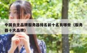中国自主品牌服务器排名前十名有哪些（服务器十大品牌）