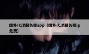 国外代理服务器app（国外代理服务器ip免费）