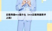 云服务器ecs是什么（ecs云服务器新手上路）