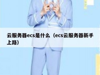 云服务器ecs是什么（ecs云服务器新手上路）