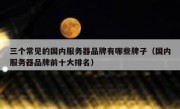 三个常见的国内服务器品牌有哪些牌子（国内服务器品牌前十大排名）