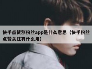 快手点赞涨粉丝app是什么意思（快手粉丝点赞关注有什么用）