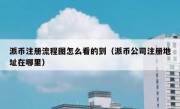 派币注册流程图怎么看的到（派币公司注册地址在哪里）