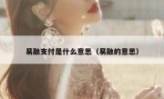 易融支付是什么意思（易融的意思）