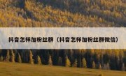 抖音怎样加粉丝群（抖音怎样加粉丝群微信）