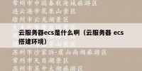 云服务器ecs是什么啊（云服务器 ecs搭建环境）