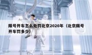 限号开车怎么处罚北京2020年（北京限号开车罚多少）