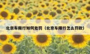 北京车限行如何处罚（北京车限行怎么罚款）