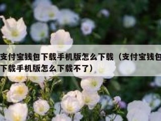 支付宝钱包下载手机版怎么下载（支付宝钱包下载手机版怎么下载不了）