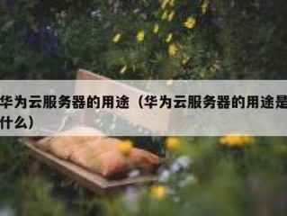 华为云服务器的用途（华为云服务器的用途是什么）
