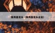 服务器龙头（服务器龙头企业）