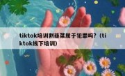 tiktok培训割韭菜属于犯罪吗?（tiktok线下培训）