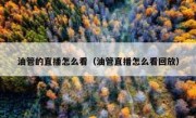 油管的直播怎么看（油管直播怎么看回放）