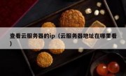 查看云服务器的ip（云服务器地址在哪里看）