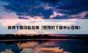 微博下载功能在哪（微博的下载中心在哪）