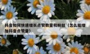 抖音如何快速增长点赞数量和粉丝（怎么能增加抖音点赞量）