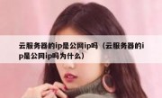 云服务器的ip是公网ip吗（云服务器的ip是公网ip吗为什么）