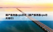 国产服务器cpu芯片（国产服务器cpu芯片排行）
