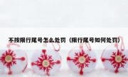 不按限行尾号怎么处罚（限行尾号如何处罚）