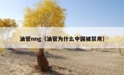 油管nng（油管为什么中国被禁用）