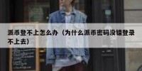 派币登不上怎么办（为什么派币密码没错登录不上去）